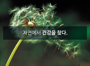 건강칼럼 바로가기