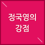 정국영의 강점
